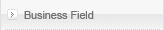 Business Field
