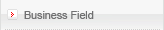 Business Field