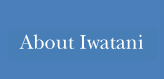 About Iwatani