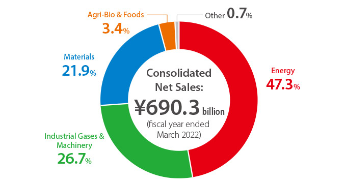 Consolidated Net Sales: