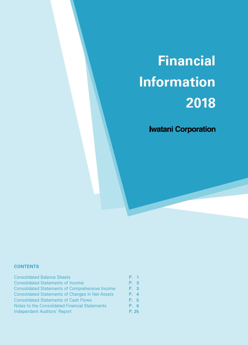 Financial Information2018