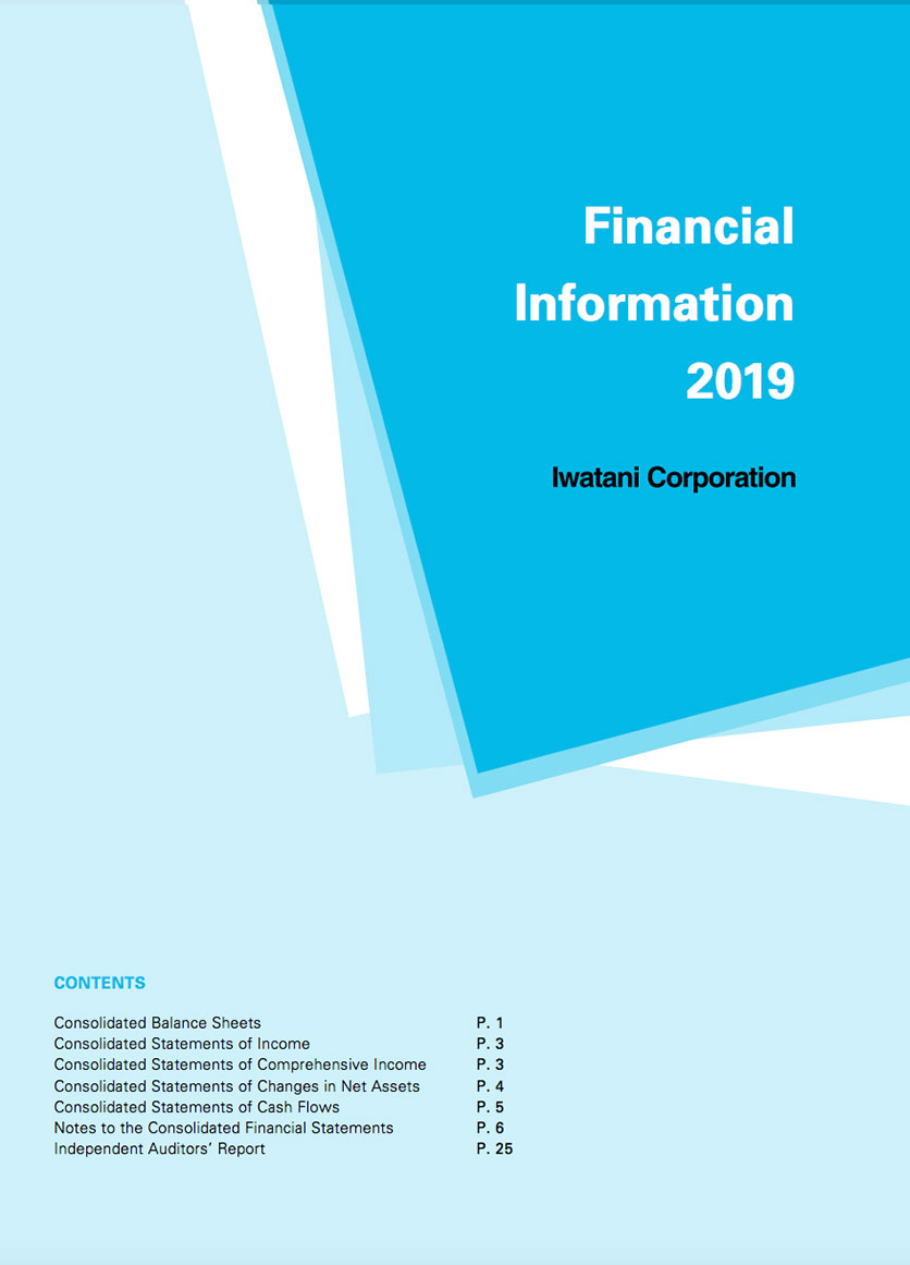 Financial Information2019