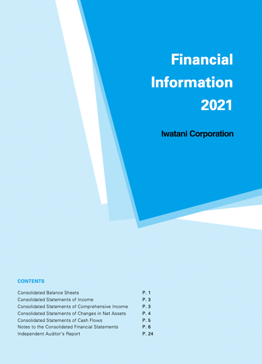 Financial Information2021