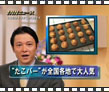 イワタニ 炎たこ「ニュースキャスター編」