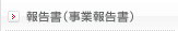 報告書（事業報告書）