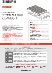 CB-WBG-1